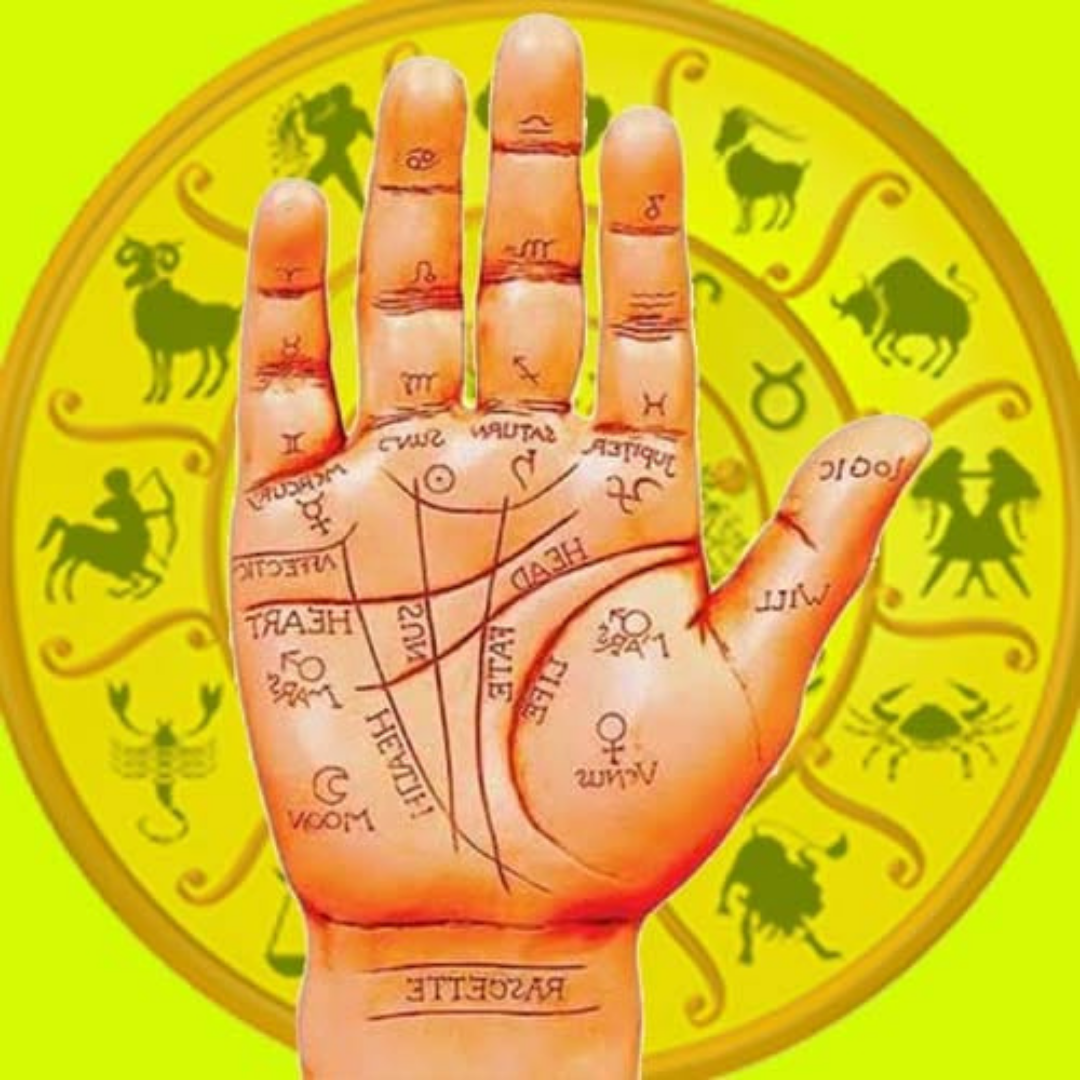 Palm Reading